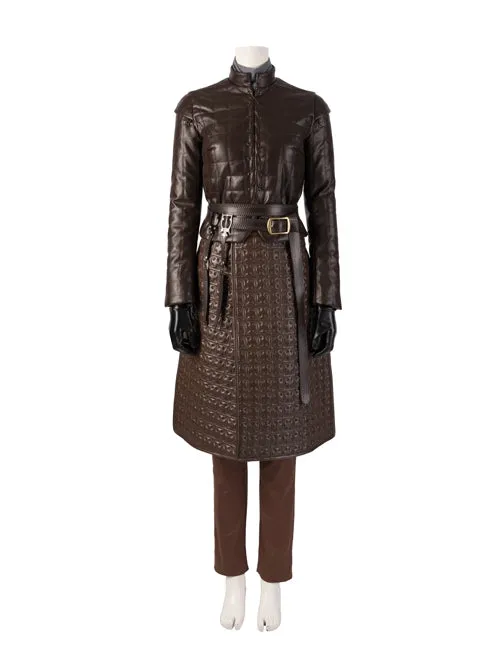 Arya Stark Cosplay Costume Dress