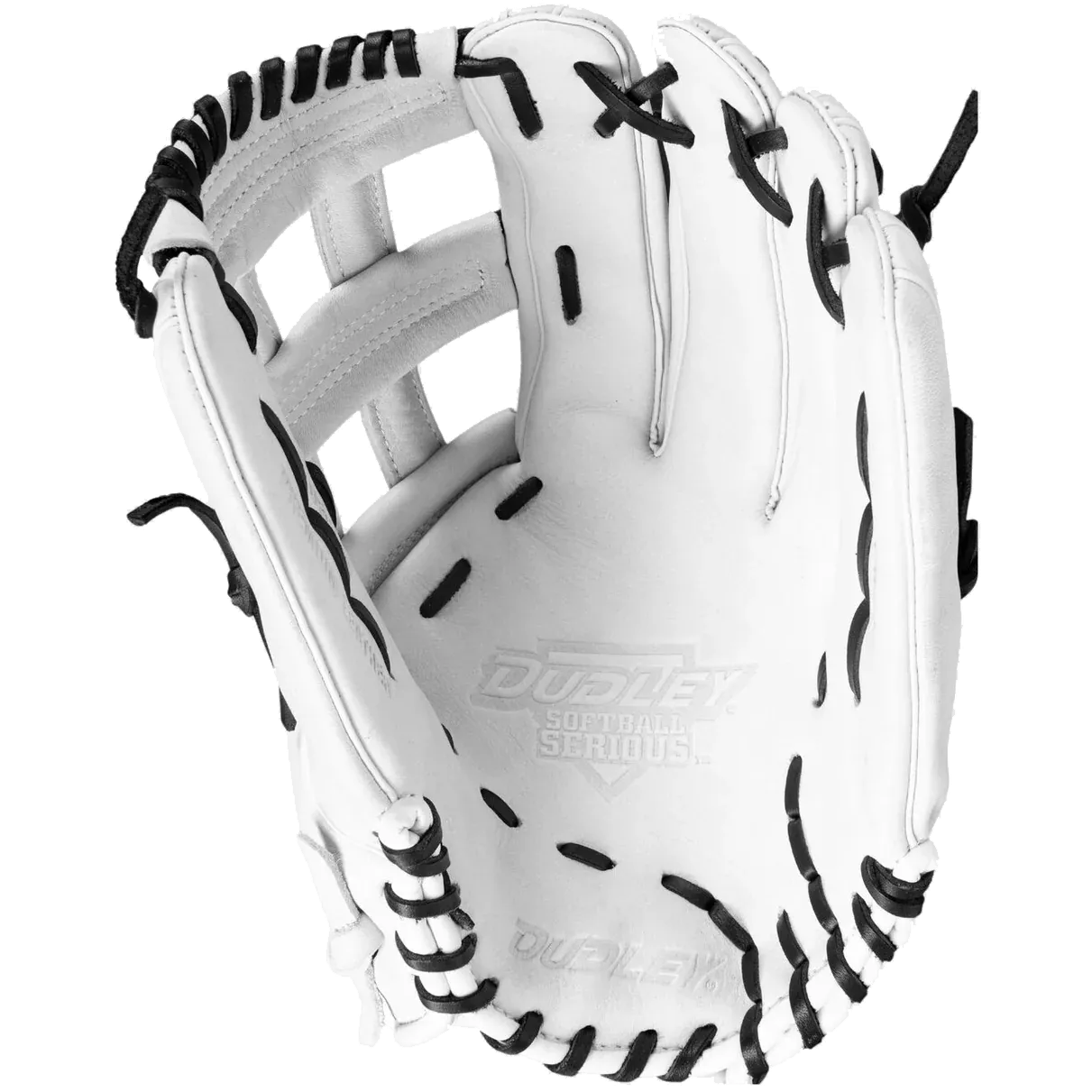 Dudley 14" Slowpitch Glove: DFG14H