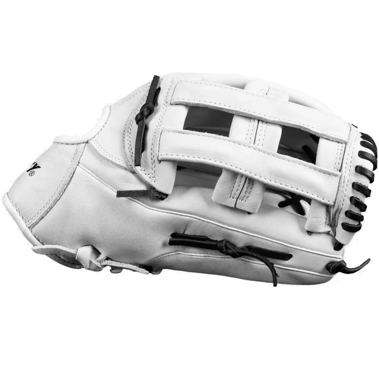 Dudley 14" Slowpitch Glove: DFG14H