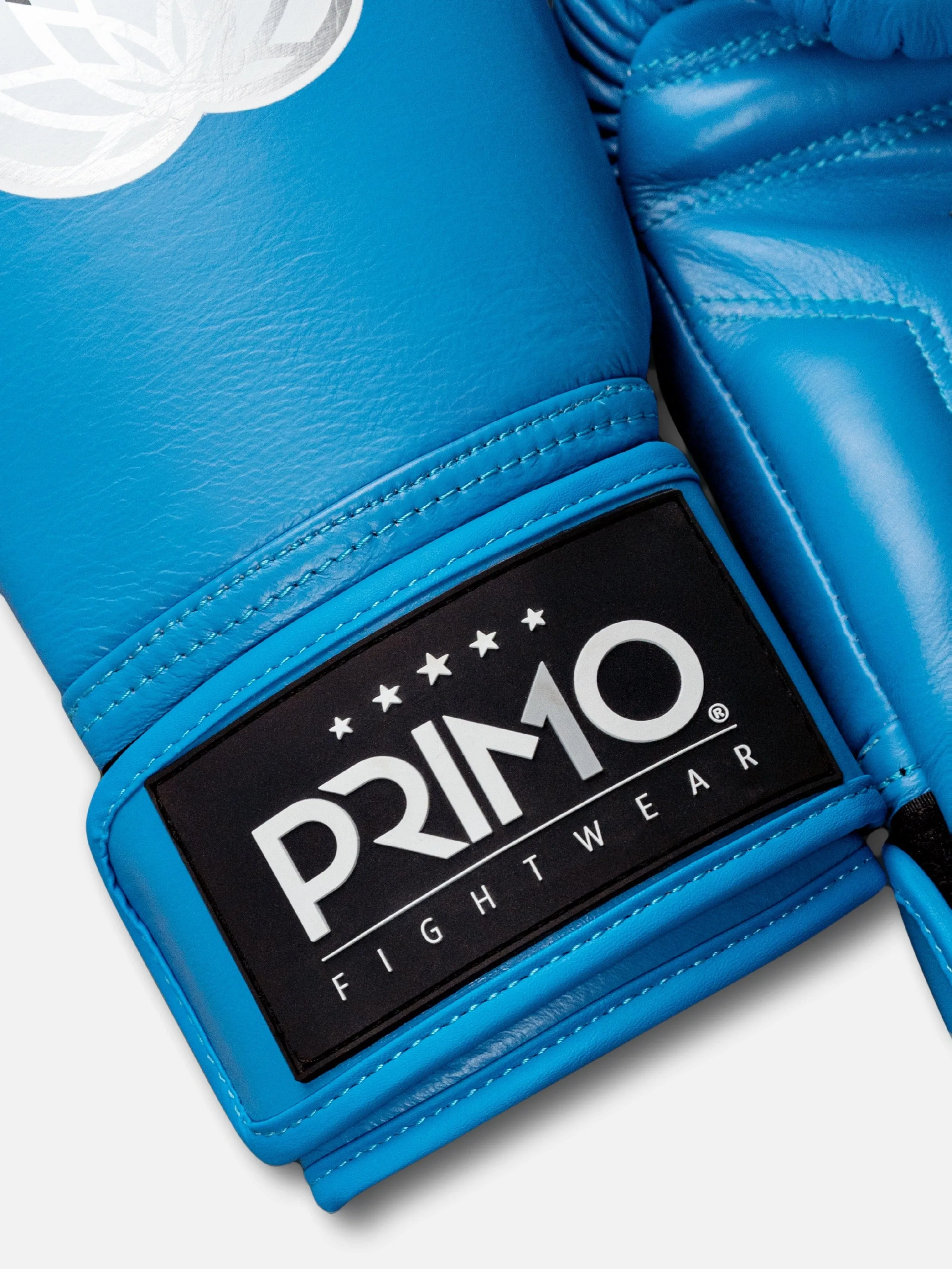 Emblem 2.0 Boxing Gloves - Mayan Blue