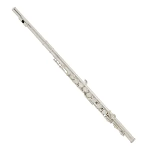 Odyssey OFL300S Premiere Flute Outfit