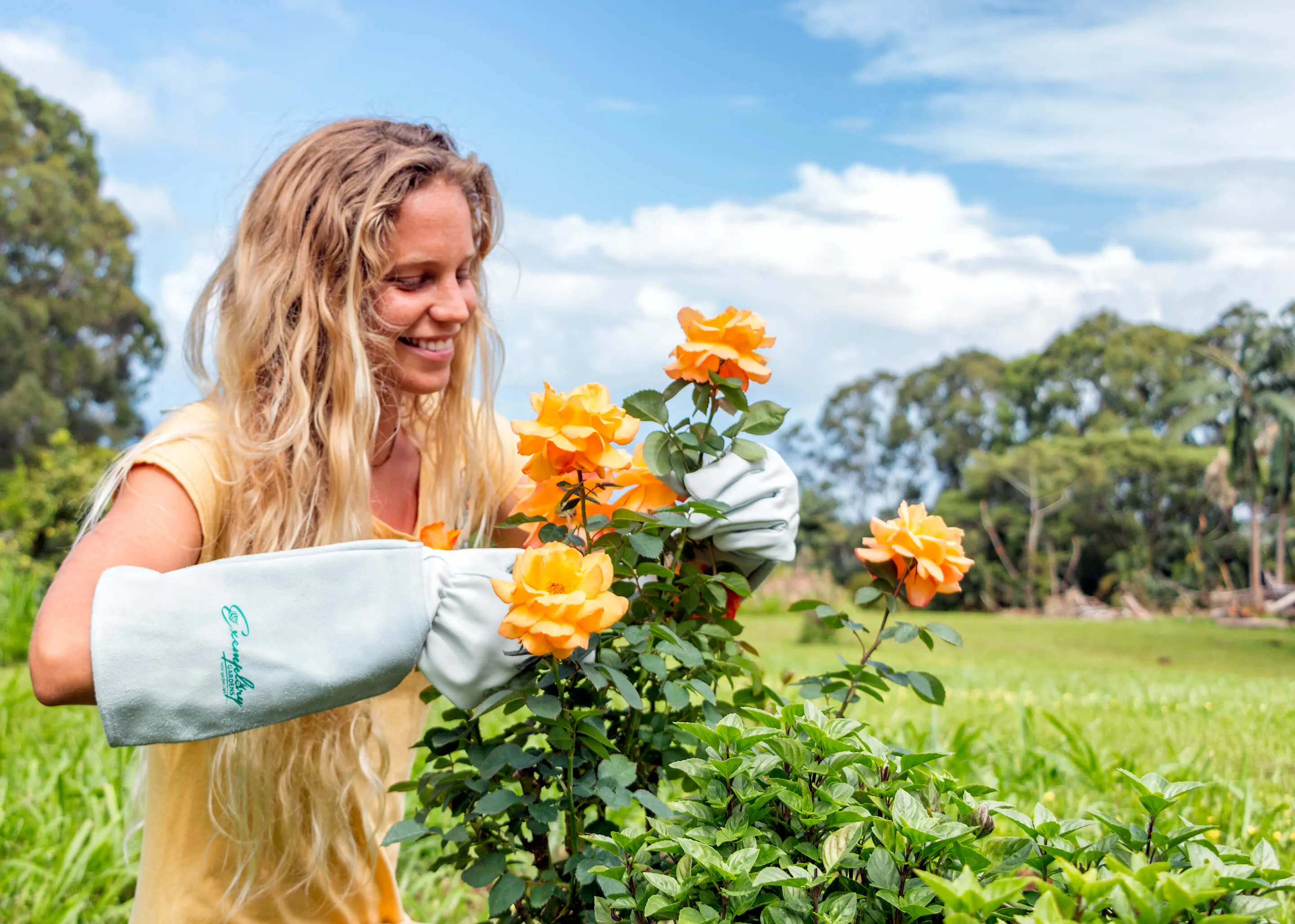 Rose Pruning Gloves