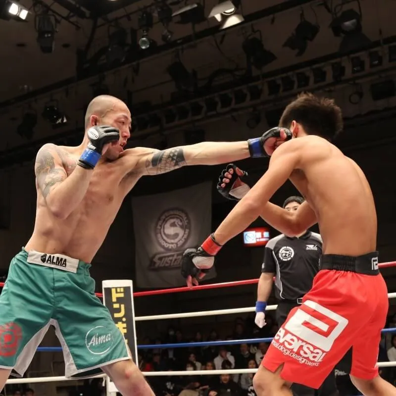 Shooto MMA Gloves