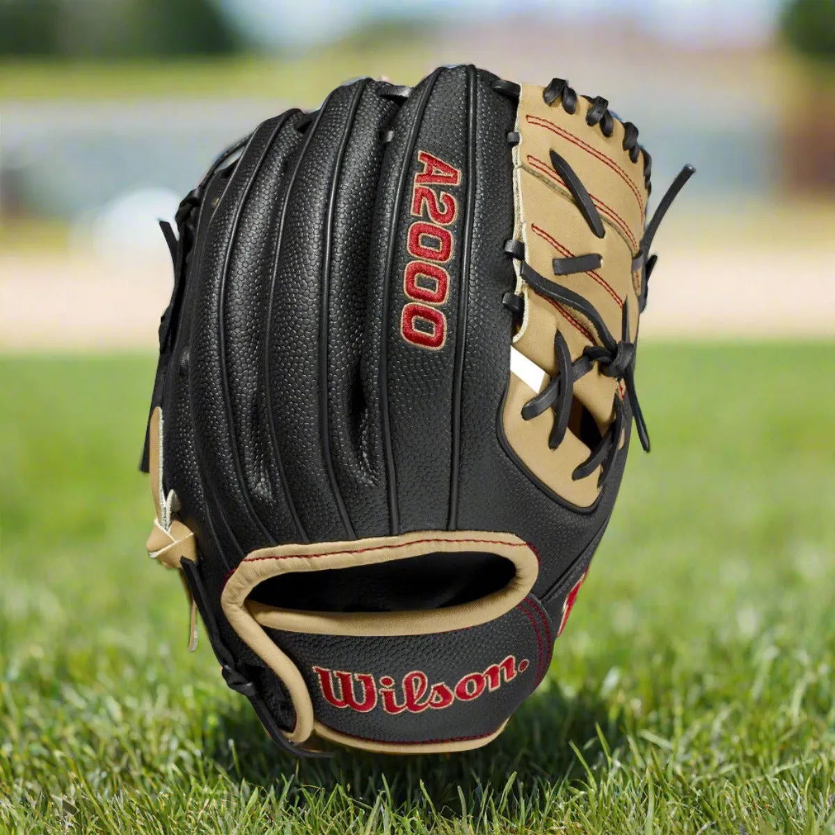 Wilson A2000 11" PFX2 Pedroia Fit Baseball Glove