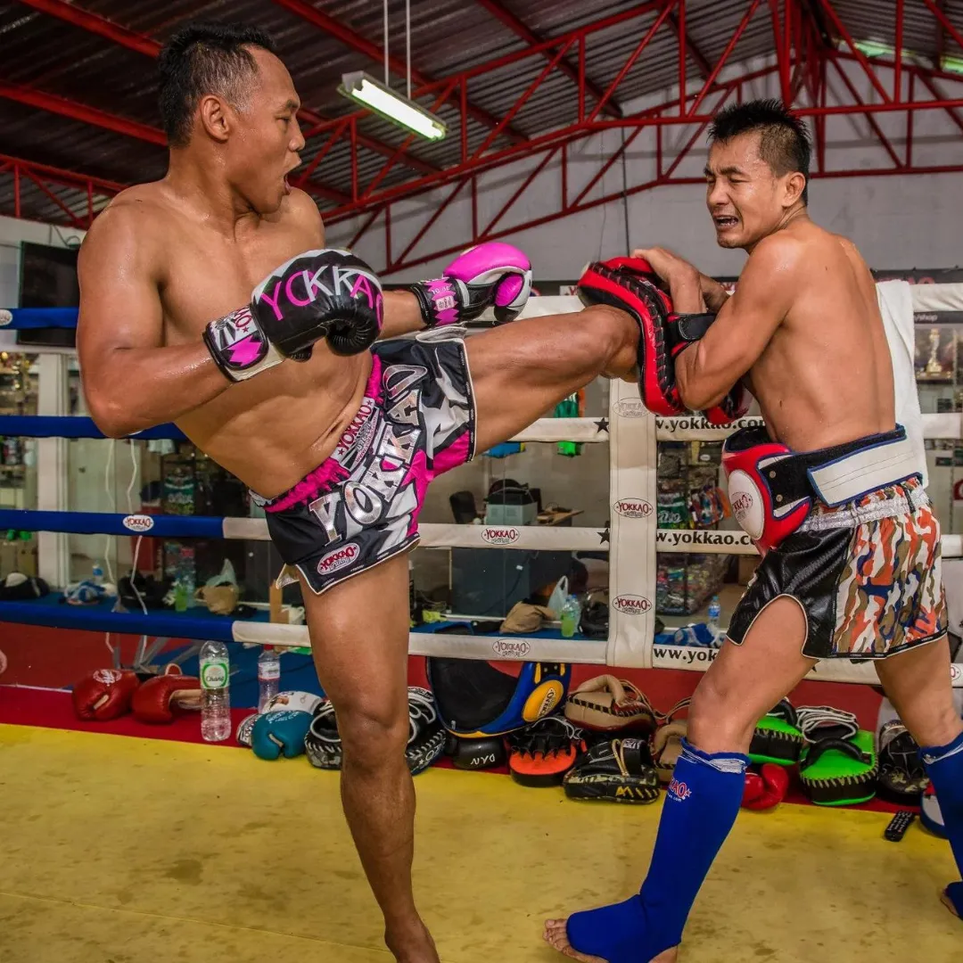 YOKKAO 90' GLOVES